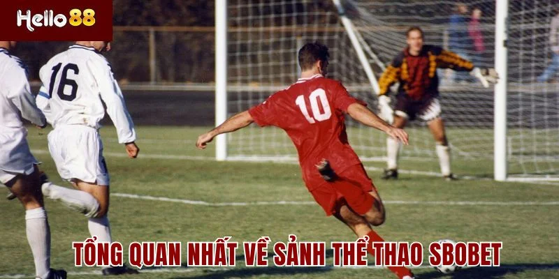 Tổng quan nhất về sảnh thể thao SBOBET